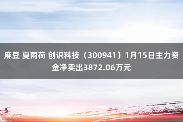 麻豆 夏雨荷 创识科技（300941）1月15日主力资金净卖出3872.06万元