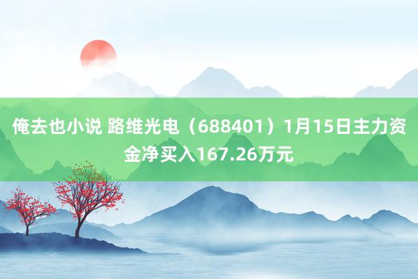 俺去也小说 路维光电（688401）1月15日主力资金净买入167.26万元