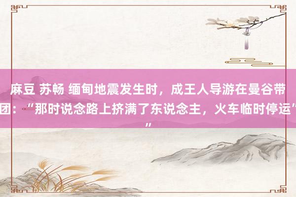 麻豆 苏畅 缅甸地震发生时，成王人导游在曼谷带团：“那时说念路上挤满了东说念主，火车临时停运”