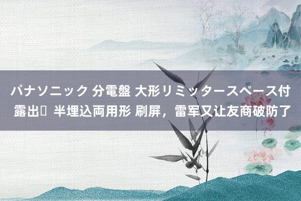パナソニック 分電盤 大形リミッタースペース付 露出・半埋込両用形 刷屏，雷军又让友商破防了