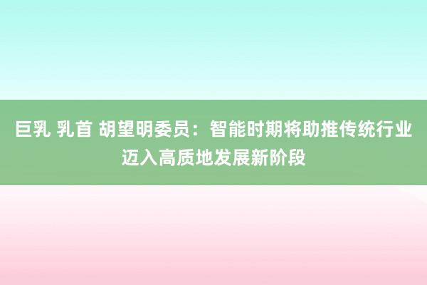 巨乳 乳首 胡望明委员：智能时期将助推传统行业迈入高质地发展新阶段