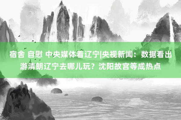宿舍 自慰 中央媒体看辽宁|央视新闻：数据看出游清朗辽宁去哪儿玩？沈阳故宫等成热点