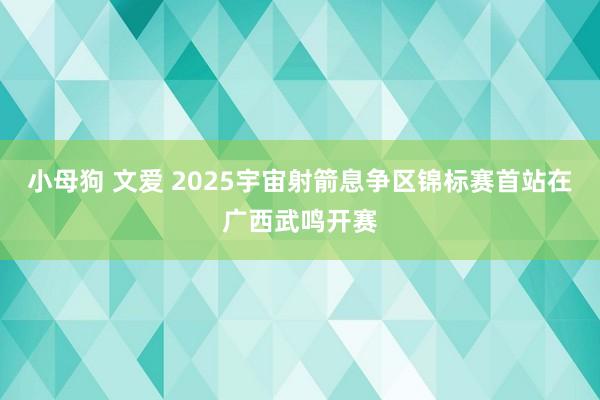 小母狗 文爱 2025宇宙射箭息争区锦标赛首站在广西武鸣开赛