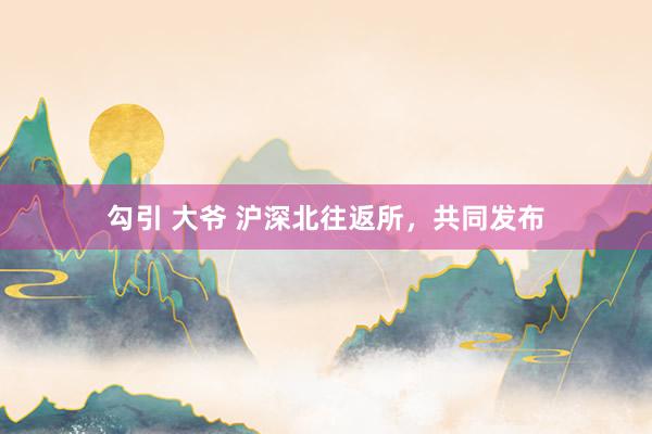 勾引 大爷 沪深北往返所，共同发布
