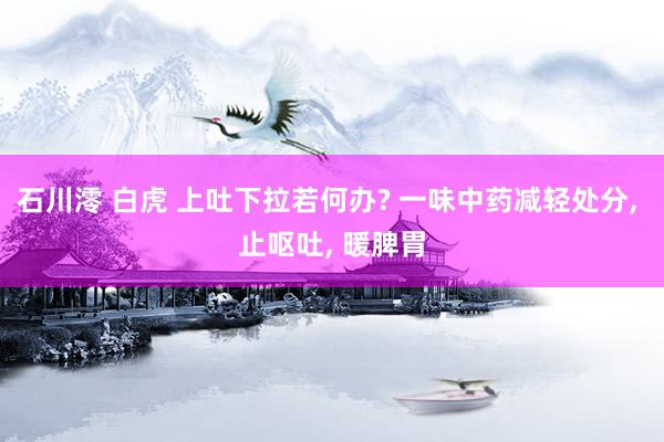 石川澪 白虎 上吐下拉若何办? 一味中药减轻处分， 止呕吐， 暖脾胃