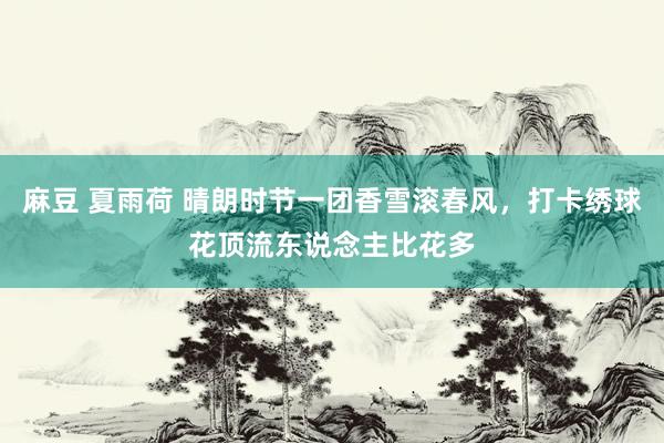 麻豆 夏雨荷 晴朗时节一团香雪滚春风，打卡绣球花顶流东说念主比花多