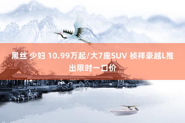 黑丝 少妇 10.99万起/大7座SUV 祯祥豪越L推出限时一口价
