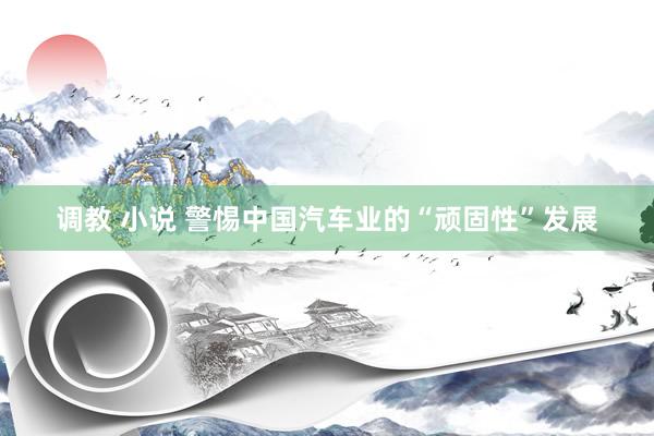 调教 小说 警惕中国汽车业的“顽固性”发展