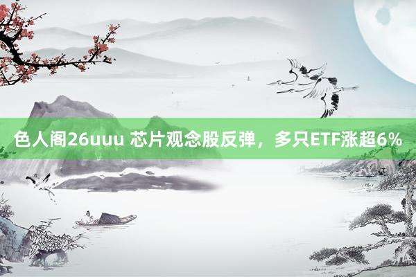 色人阁26uuu 芯片观念股反弹，多只ETF涨超6%