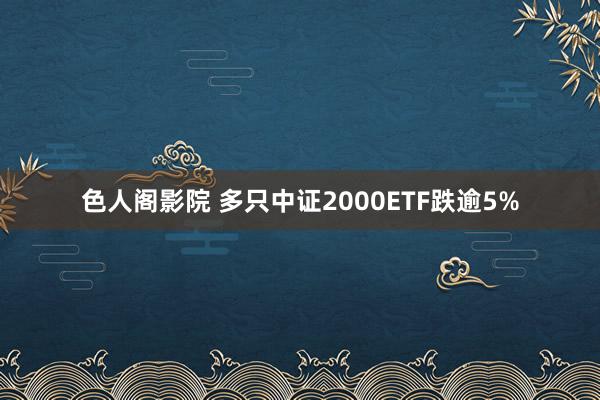 色人阁影院 多只中证2000ETF跌逾5%