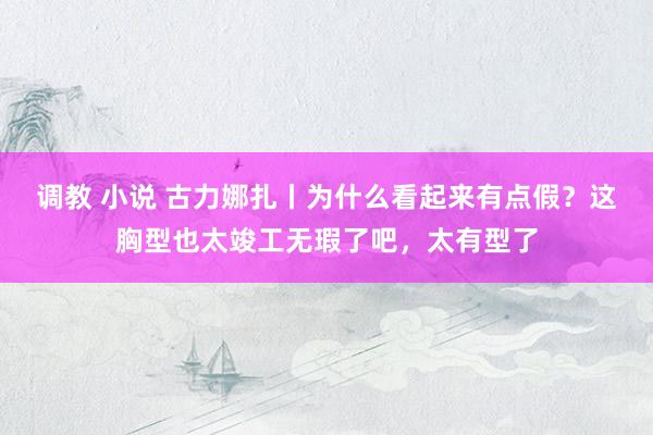 调教 小说 古力娜扎丨为什么看起来有点假？这胸型也太竣工无瑕了吧，太有型了