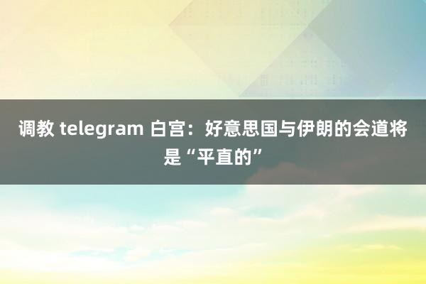 调教 telegram 白宫：好意思国与伊朗的会道将是“平直的”