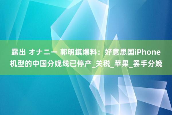 露出 オナニー 郭明錤爆料：好意思国iPhone机型的中国分娩线已停产_关税_苹果_罢手分娩