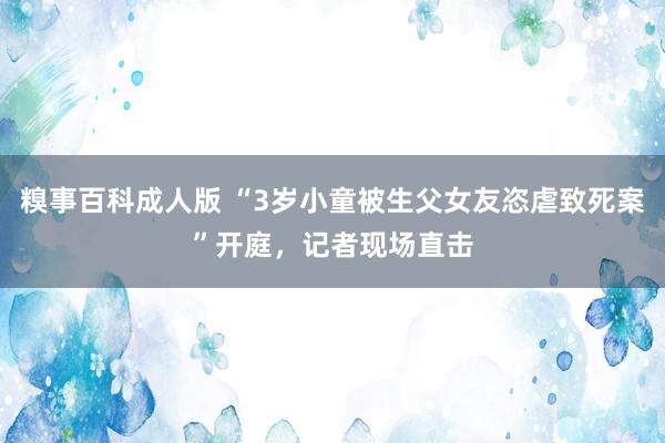 糗事百科成人版 “3岁小童被生父女友恣虐致死案”开庭，记者现场直击