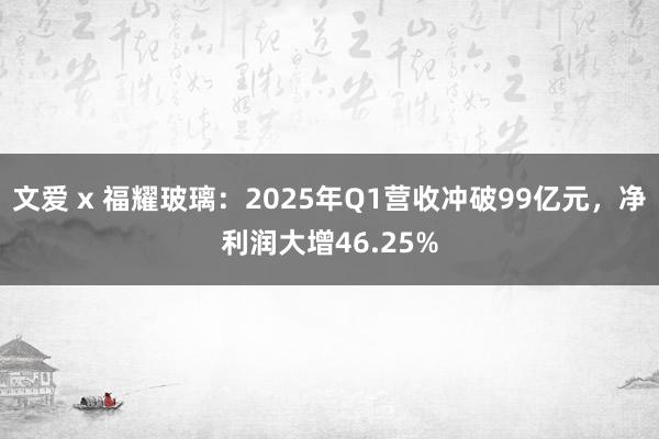 文爱 x 福耀玻璃：2025年Q1营收冲破99亿元，净利润大增46.25%