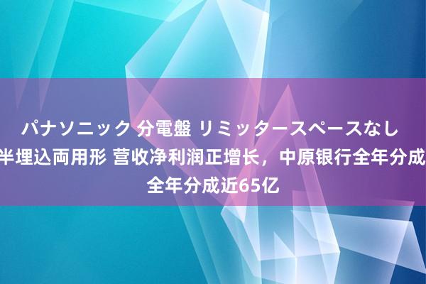 パナソニック 分電盤 リミッタースペースなし 露出・半埋込両用形 营收净利润正增长，中原银行全年分成近65亿