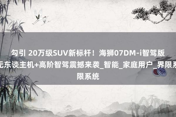 勾引 20万级SUV新标杆！海狮07DM-i智驾版携无东谈主机+高阶智驾震撼来袭_智能_家庭用户_界限系统