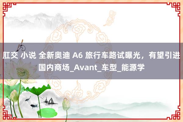 肛交 小说 全新奥迪 A6 旅行车路试曝光，有望引进国内商场_Avant_车型_能源学