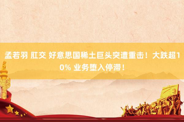孟若羽 肛交 好意思国稀土巨头突遭重击！大跌超10% 业务堕入停滞！