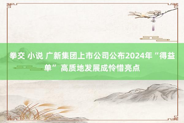 拳交 小说 广新集团上市公司公布2024年“得益单” 高质地发展成怜惜亮点