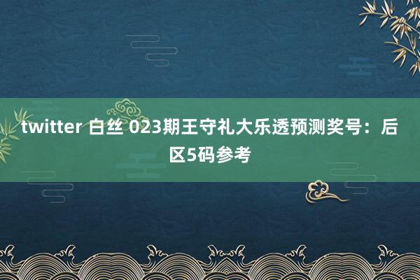 twitter 白丝 023期王守礼大乐透预测奖号：后区5码参考
