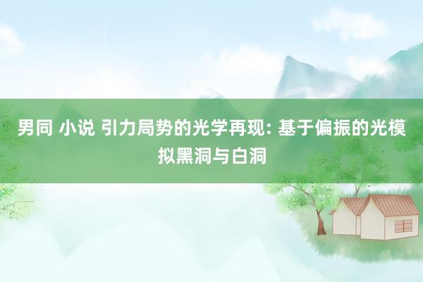 男同 小说 引力局势的光学再现: 基于偏振的光模拟黑洞与白洞
