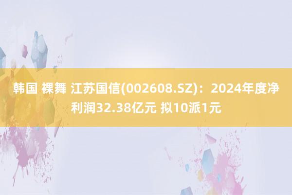 韩国 裸舞 江苏国信(002608.SZ)：2024年度净利润32.38亿元 拟10派1元