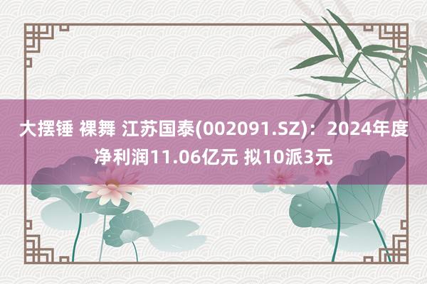 大摆锤 裸舞 江苏国泰(002091.SZ)：2024年度净利润11.06亿元 拟10派3元